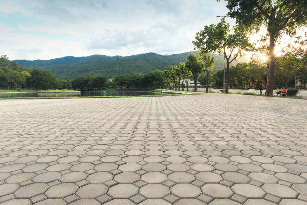 Best Residential Driveway Paver Services  in Forest Hills, TN