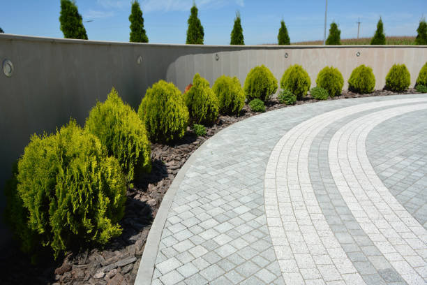 Best Concrete Paver Driveway  in Forest Hills, TN