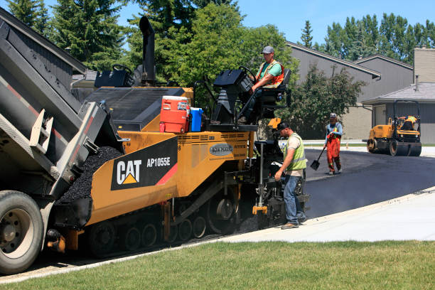 Best Local Driveway Pavers  in Forest Hills, TN